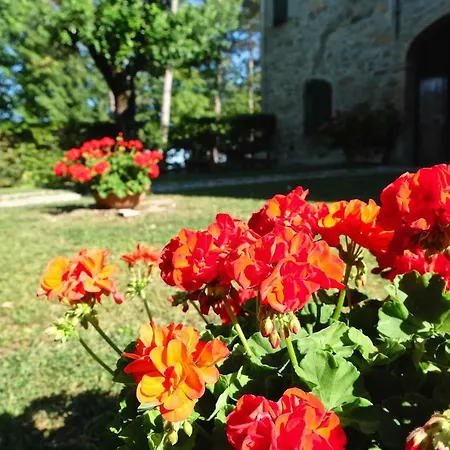 La Corte Bonomini 3*