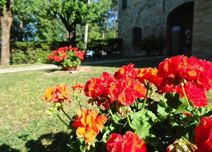 La Corte Bonomini 3*